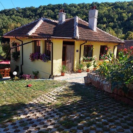 Guest House „Ivanovata House” Yanovets Exterior foto